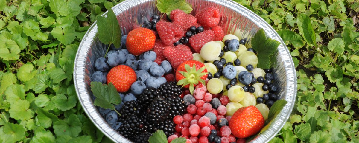 Frutta - romanin Graziano