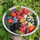 Frutta - romanin Graziano